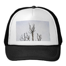 Dry Tree silhouette against cloudy sky Mesh Hats