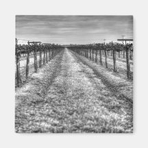 Dry Vines Fridge Magnets
