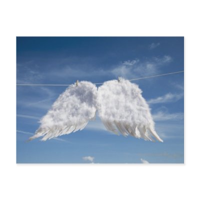 Drying angel's wings. postcards by prophoto