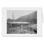 Drying Salmon In Alaska 1915 cards