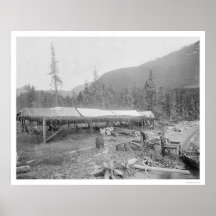 Drying Salmon In Alaska 1915 Print