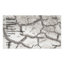 Dryness Business Card