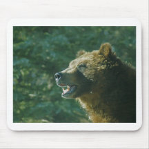 DSC00061 Grizzly Profile Mousepad