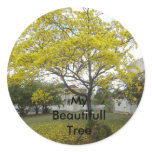 DSC00716, My  Beautifull Tree stickers