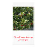 DSC01557 (2), He will never leave or forsake you photo cards