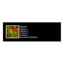 DSC05162 x Business Cards