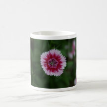 DSC05672 COFFEE MUG