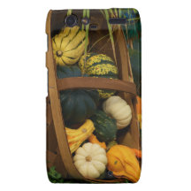 DSC09360basket de gourds.jpg Coque Motorola Droid RAZR