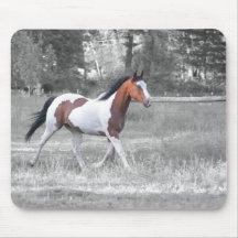 DSC_0110 MOUSE MATS