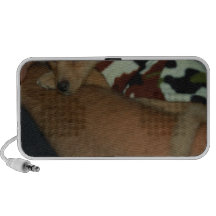 DSC_0405.JPG iPhone SPEAKER