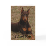 DSC_0645 (2), I Love You Greeting Cards
