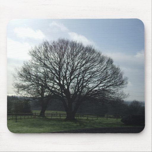 DSCF0019 Winter Oak Mouse Mats