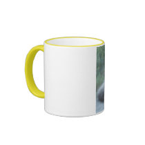 DSCF0569 (2) TASSE