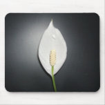 DSCF0897 Peace Lilly Mouse Mat