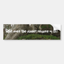 DSCF1733, what does the planet require of us? Bumper Sticker