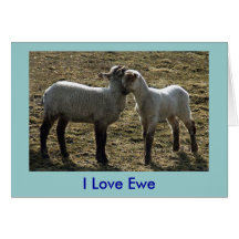 DSCF5407 copy, I Love Ewe Greeting Cards