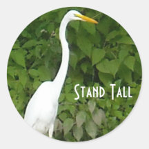 DSCN0410, Stand Tall Stickers