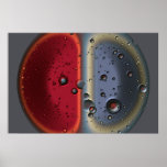 Duality Posters