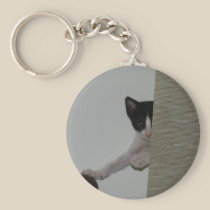 Dubai Kitten - playing Peek A Booh keychains