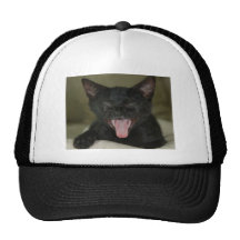 Dubai Kitten-Sticking out tongue Trucker Hats