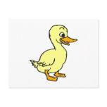 Dubby Duck Postcards