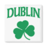 Dublin Irish Magnet