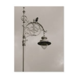 Dublin Lamp Post Card