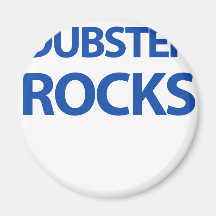 Dubstep Rocks Magnets