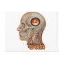 Dubstep woofer brain post cards