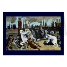 Duc de chats It Out sur un dessus de toit Cartes