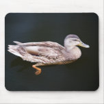Duck 907b mouse pads