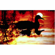 Duck and chick at sunset photo cutouts