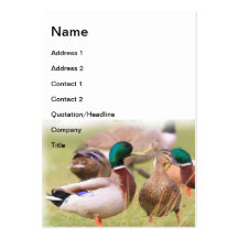Duck Business Card