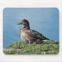 Duck by the Water Mousepad