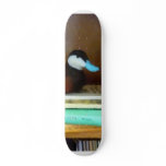 Duck Decoy on Bookshelf Skate Board