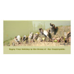 Duck Family Picture Card