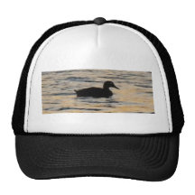 Duck Hat