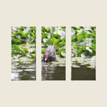 Duck in a Pond canvas prints