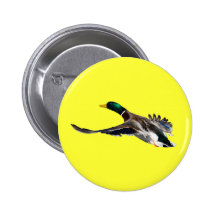 duck in flight buttons