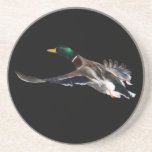duck in flight coasters