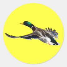 duck in flight round stickers