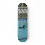 duck in pool skateboard deck