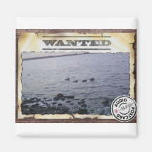 Duck magnet