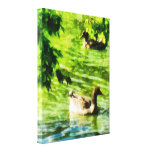 Duck on a Tranquil Pond Gallery Wrap Canvas