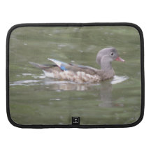 Duck on the Lake Rickshaw Folio Folio Planner