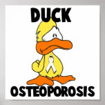 Duck Osteoporosis Posters