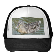 Duck Paddling Mesh Hats