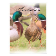 Duck Party Announcement Invitation