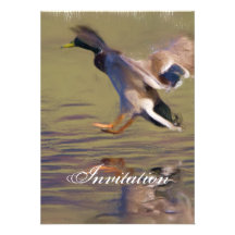 duck Party Announcement Invitation