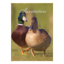 Duck Party Announcement Invitation